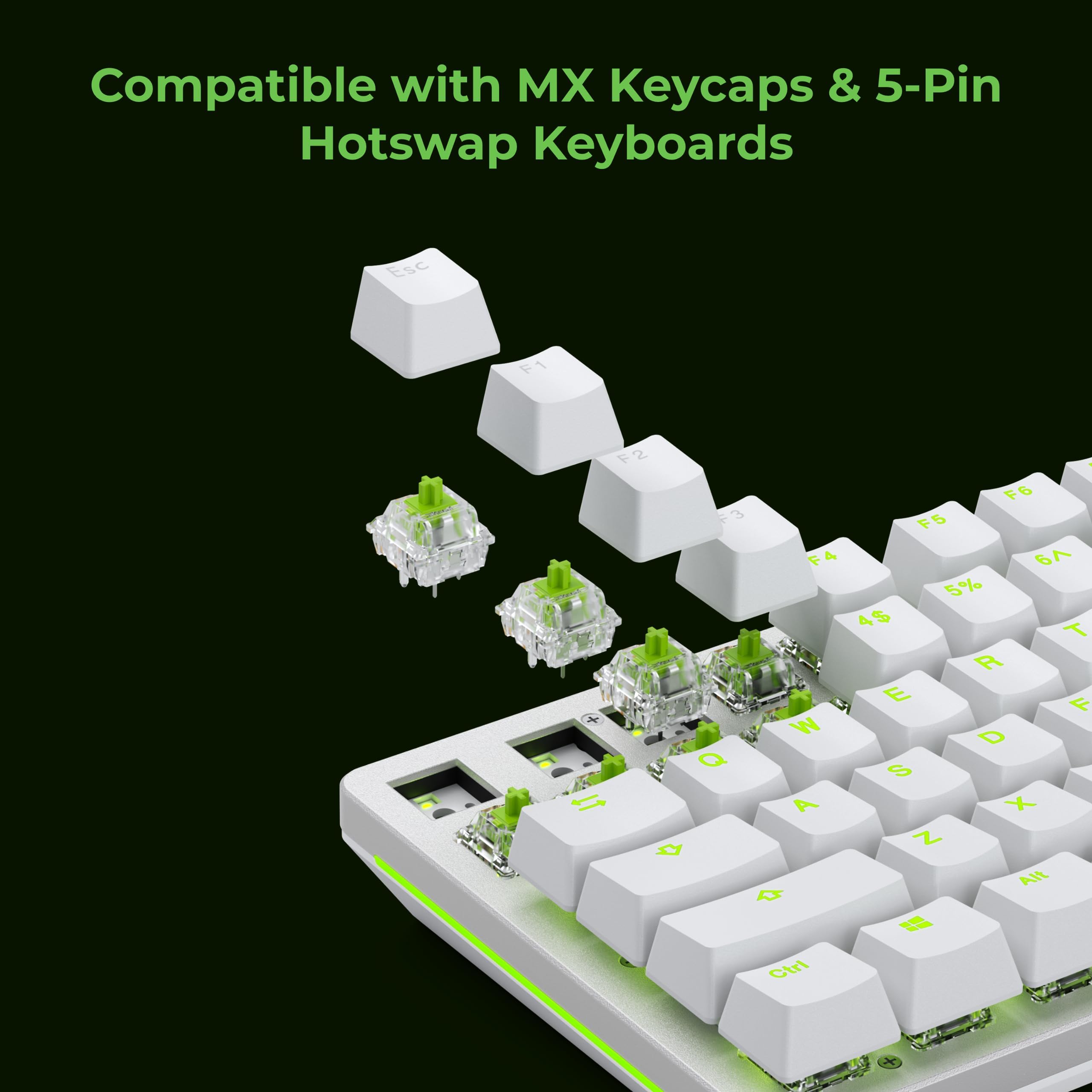 GLORIOUS Raptor Clicky Switches for Mechanical Keyboards for Gaming: 36 PCS, 5-pin, Transparent for MAX RGB, Pre-Lubed, Compatible with MX Keycaps, Premium Click Bar for Thocky Sound - Image 5